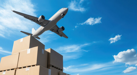FedX Express Cargo Movers international relocation and overseas moving service